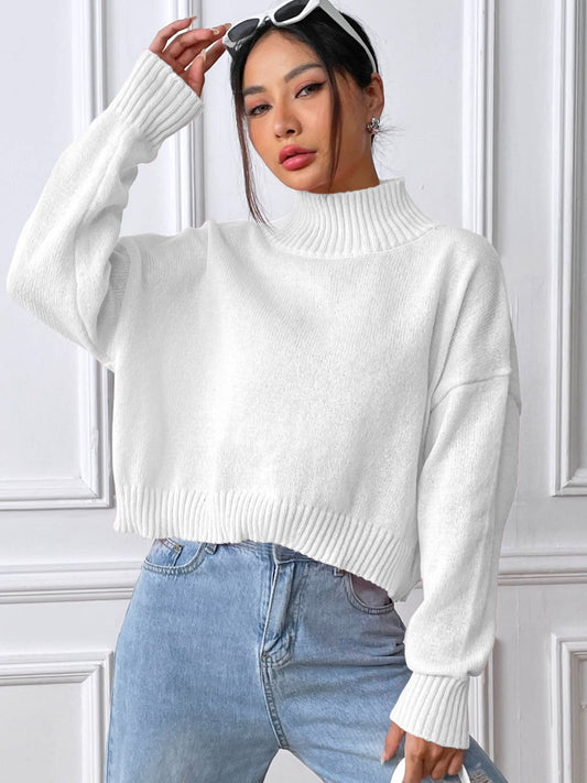 Turtleneck Long Sleeve Sweater